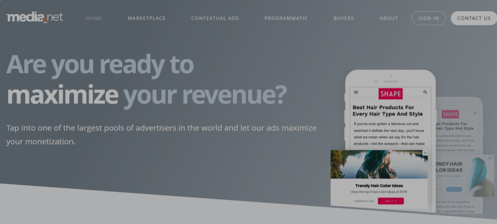 alternative to adsense 