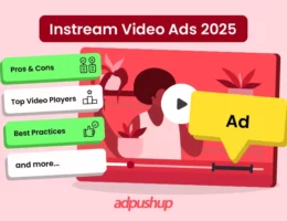 InStream Video Ads - AdPushup