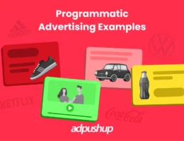10 Best Programmatic Advertising Examples by AdPushup